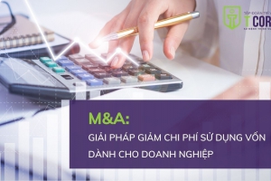 M&A: GIẢI PHÁP GIẢM CHI PHÍ SỬ DỤNG VỐN DÀNH CHO DOANH NGHIỆP